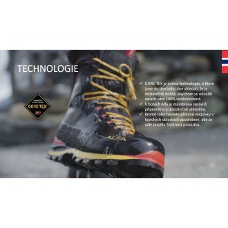 Boty Alfa Piggen APS GTX M Black